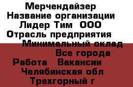 Мерчендайзер › Название организации ­ Лидер Тим, ООО › Отрасль предприятия ­ BTL › Минимальный оклад ­ 17 000 - Все города Работа » Вакансии   . Челябинская обл.,Трехгорный г.